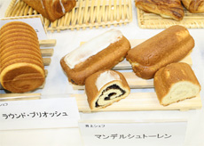 井上の担当:マンデルシュトーレン