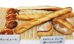テロワールピュールを使った、パンオレとフランスパン