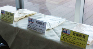 乾燥卵/ 全卵 卵白 卵黄の3種類