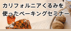 レーズンセミナー