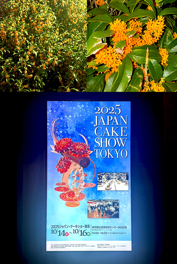 細田店スタッフのコラム